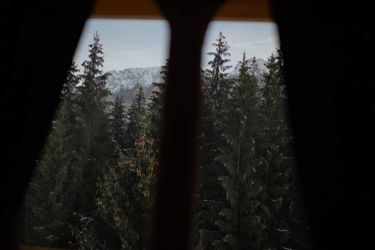 Chata Tatritis Koscielisko Bagian luar foto